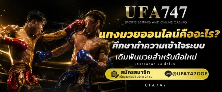 แทงมวย