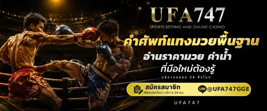ปกแทงมวย