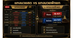 มวยพักยก